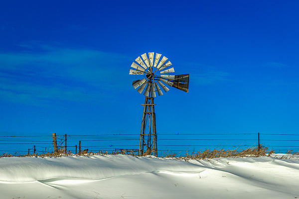 Winter Art
