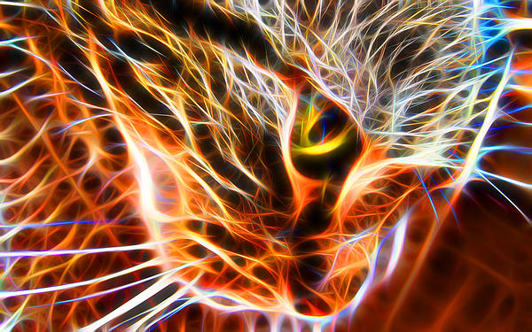 Neon Cat Portrait Print by Victor Gladkiy