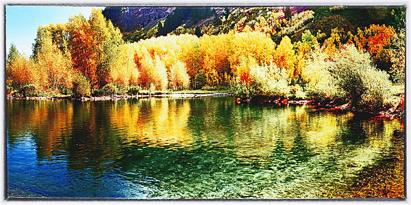 OLena Art by Lena Owens - Vibrant DESIGN - Reflecting Nature Crystal Clear Lakes and Vibrant Fall Foliage