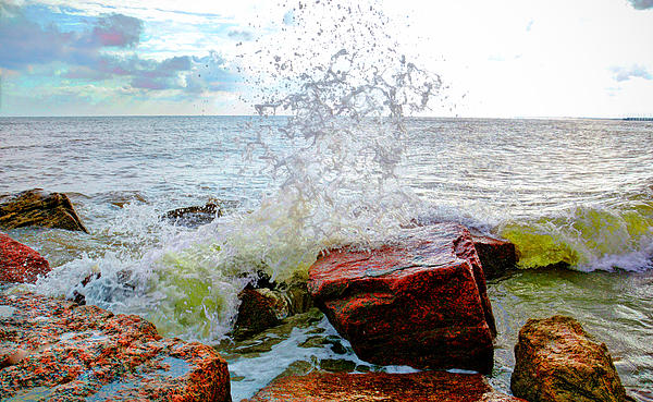 Ocean Jetty Coffee Mug