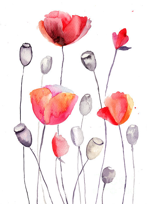 Stylized Poppy Flowers Illustration Print by Regina Jershova