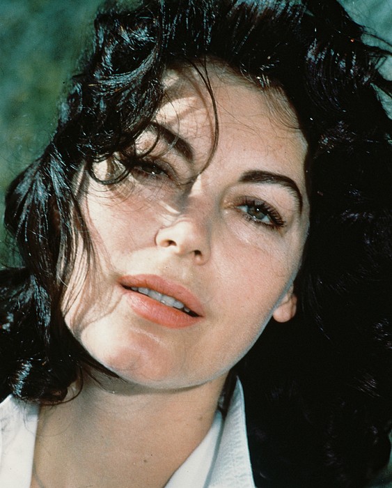 Ava Gardner Art