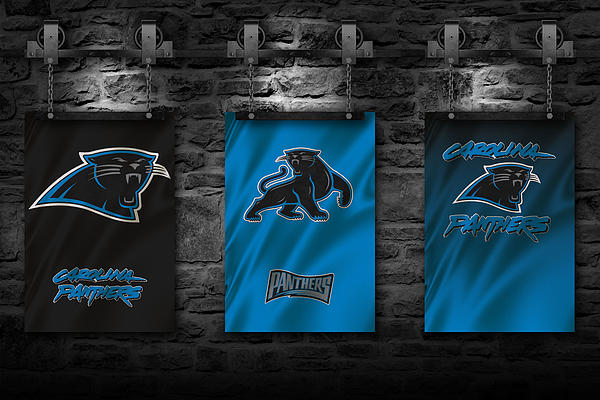 Carolina Panthers Art Print by Joe Hamilton - Pixels Merch