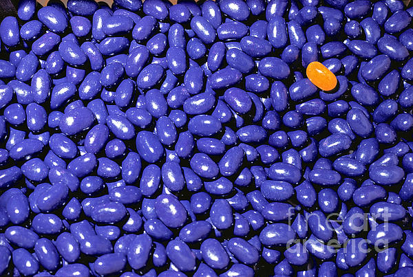 David Zanzinger - All Blue Jelly beans one yellow