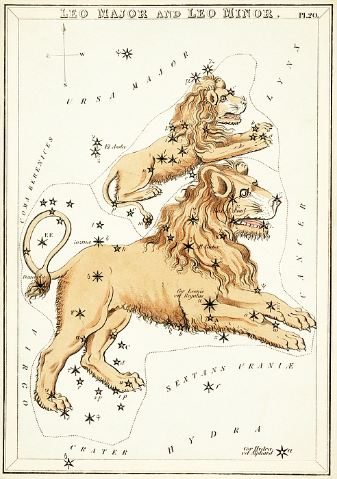 Astrology Leo 1825 Fleece Blanket by Granger Pixels