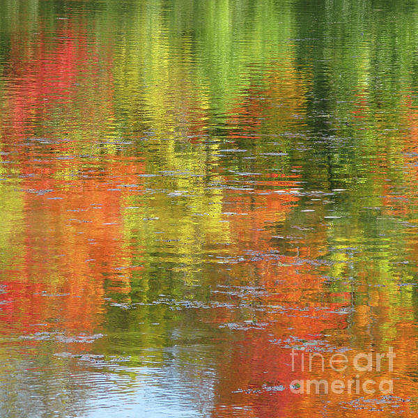 Ann Horn - Autumn Water Colors