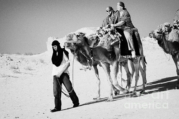 bedouin guide in modern clothing leads british tourists riding