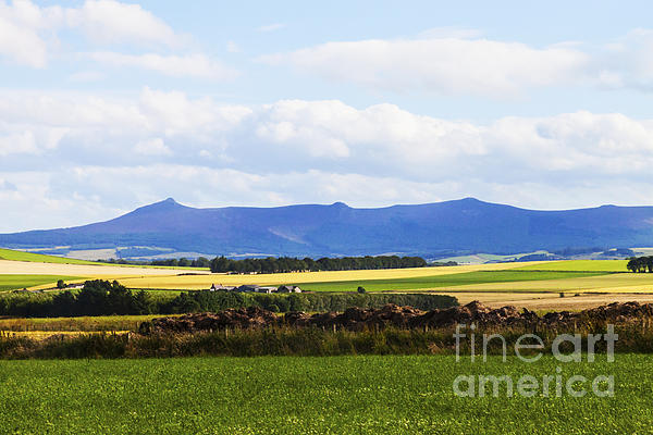 Scotland Art