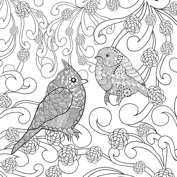 Birds Coloring Page Animals Hand Greeting Card for Sale by Palomita