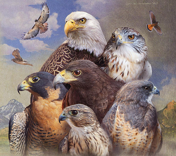 Birds of Prey: Stunning Photographs of the World's Great Hunting  9781838860950