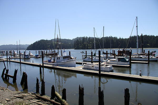 Christiane Schulze Art And Photography - Boats On The Siuslaw River