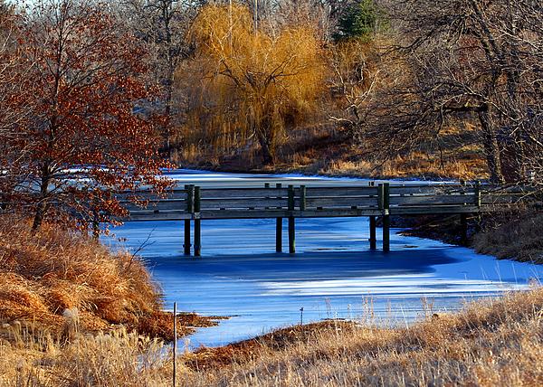 Elizabeth Winter - Bridge over Icy Waters