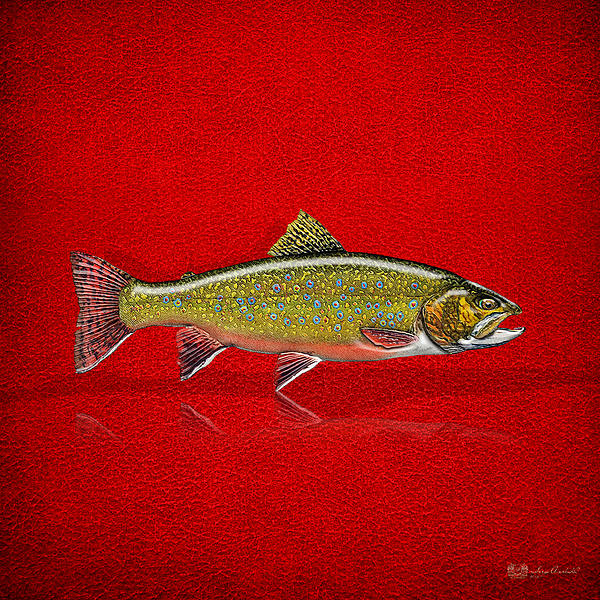 Brook Trout on Red Leather iPhone 13 Pro Max Case by Serge Averbukh -  Pixels Merch