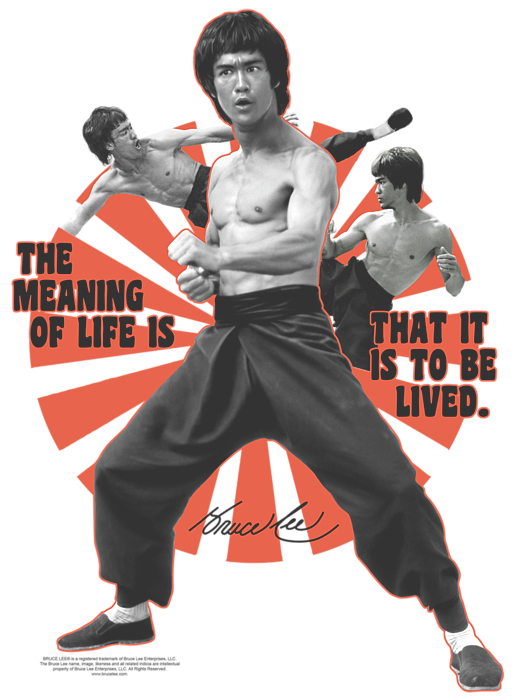 bruce lee meaning