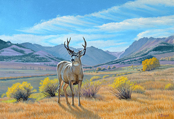 'Buck Deer-Tom Miner Basin' Greeting Card for Sale by Paul Krapf