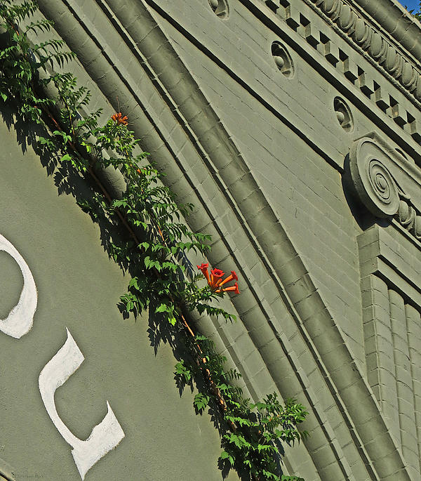 Detail Drawings