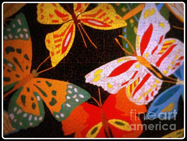 Nader Rangidan - Butterflies