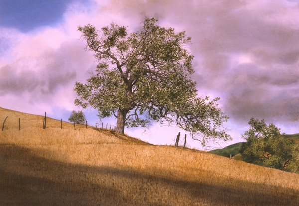 Tom Wooldridge - By The Big Oak