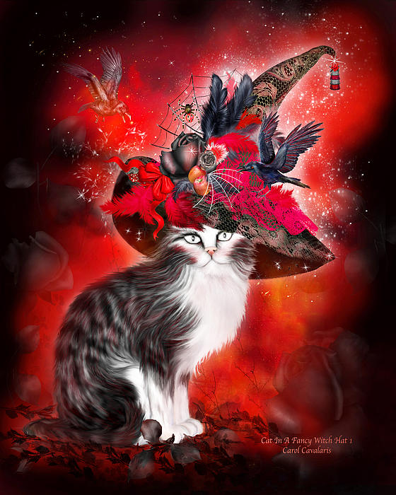 https://images.fineartamerica.com/images-medium-5/cat-in-fancy-witch-hat-1-carol-cavalaris.jpg