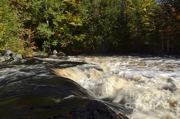 Cedar Falls In Hazelhurst Wisconsin by Nancy Anderson