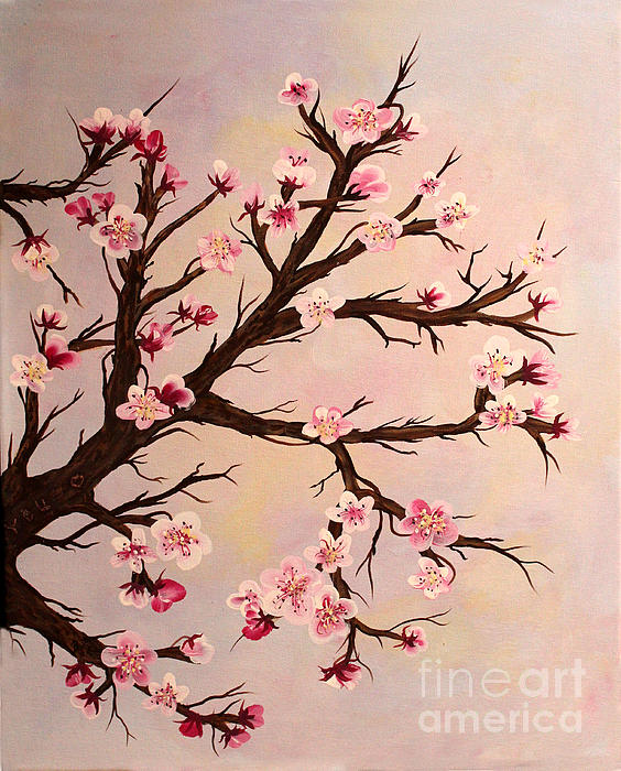 Barbara A Griffin - Cherry Blossoms 2