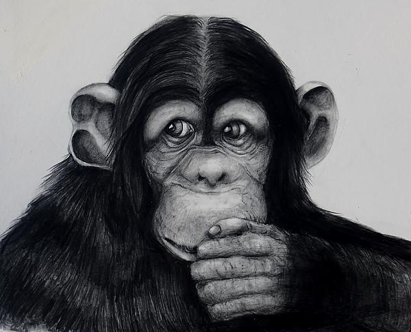 Wildlife Art