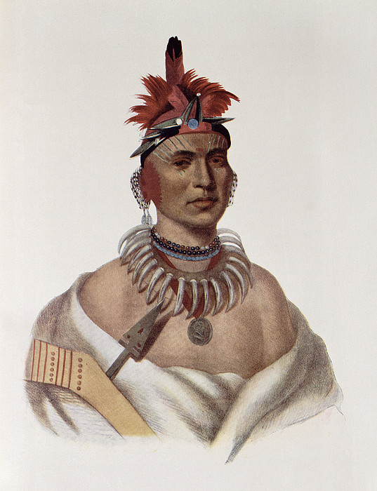 Chon-ca-pe Or Big Kansas, An Oto Chief, Illustration From The Indian Tribes  Of North America Yoga Mat by Charles Bird King - Fine Art America