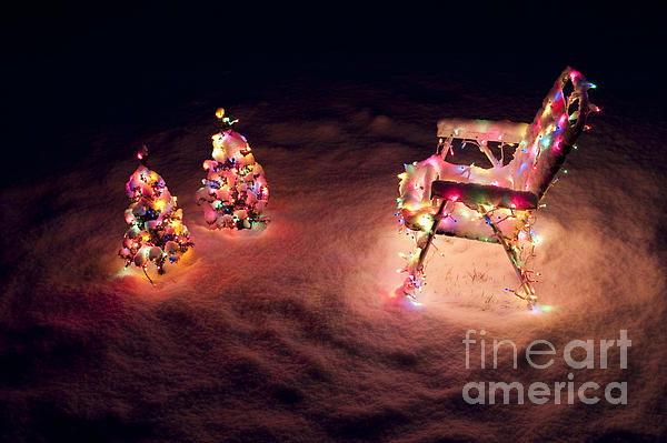 https://images.fineartamerica.com/images-medium-5/christmas-lights-on-trees-and-lawn-chair-jim-corwin.jpg