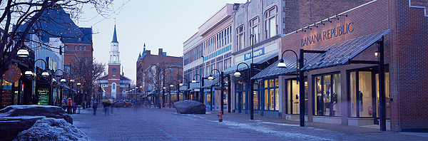 Art Bag. Artwork:church Street Burlington Vermont 