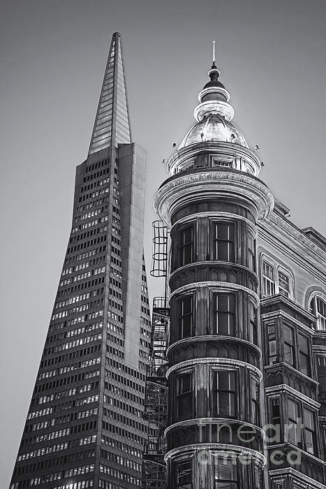 Jerry Fornarotto - Columbus and Transamerica Towers bw