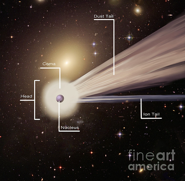 Comet With Parts Labeled Shower Curtain for Sale by Spencer Sutton