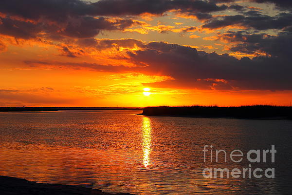 Landscape Photographs