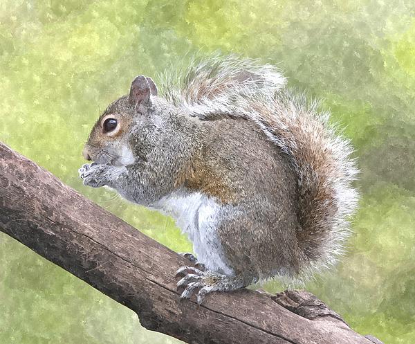 Animal Paintings