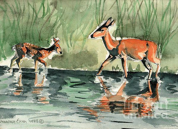 Genevieve Esson - Deer At The River