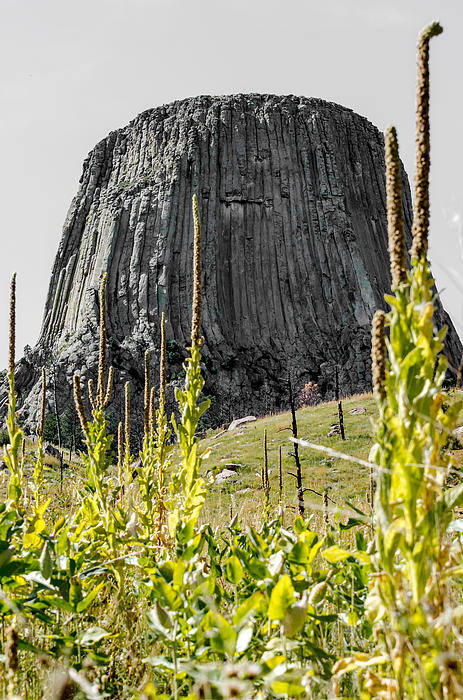 Debra Martz - Devils Tower from Red Beds Trail