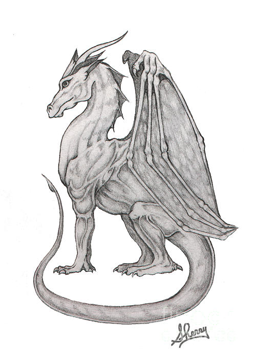 James C. Dragon | How to Draw a Realistic Dragon? | by James C Dragon |  Medium