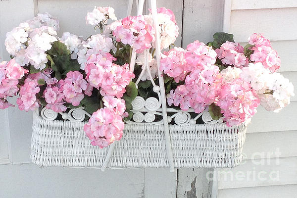 Image of Pink hydrangea in hanging basket