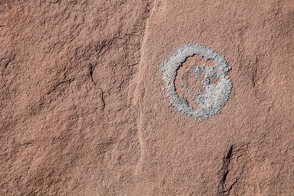 Natural Art