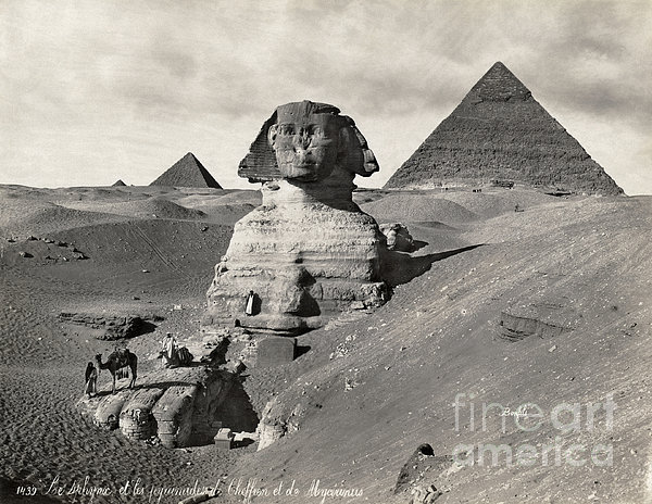 Sphinx Medium Tote