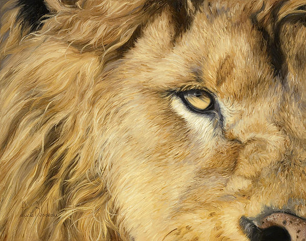 Eye Of The Lion Throw Pillow for Sale by Lucie Bilodeau