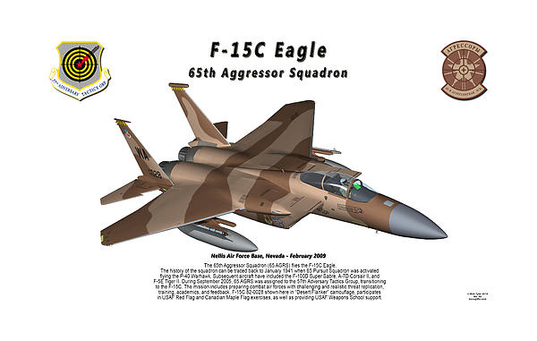 F-15C 65th Aggressor Flanker - Wall Pilot