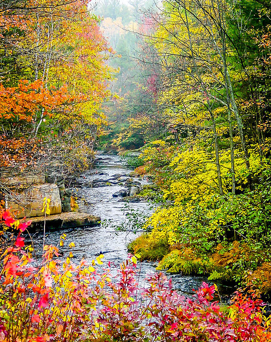 Fall Stream In New Hampshire by Shey Stitt