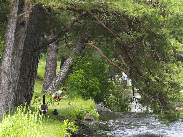 Fishing Under a Pine Tree Jigsaw Puzzle