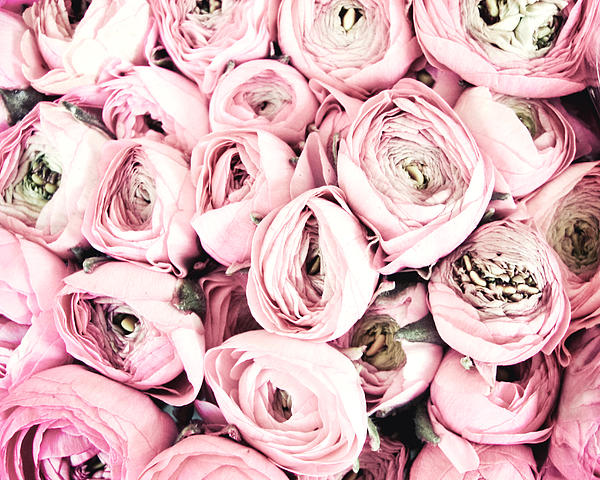 Pink Art