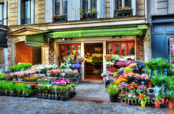 Flower Photographs