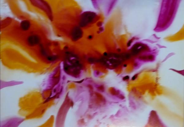 Fluid Art