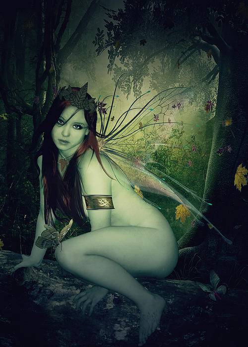 Kristie  Bonnewell - Forest Fairy