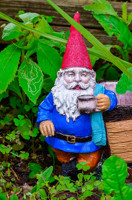 Garden Gnome by Brian Stevens