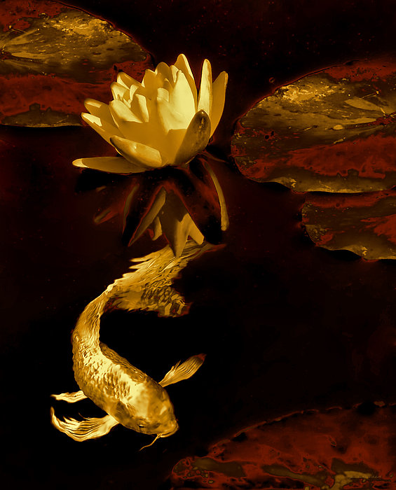 Jennie Marie Schell - Golden Koi Fish and Water Lily Flower