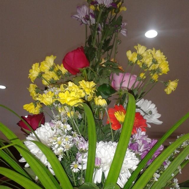 Good Morning #love #beautiful #flowers Greeting Card by Veronica Lopulalan